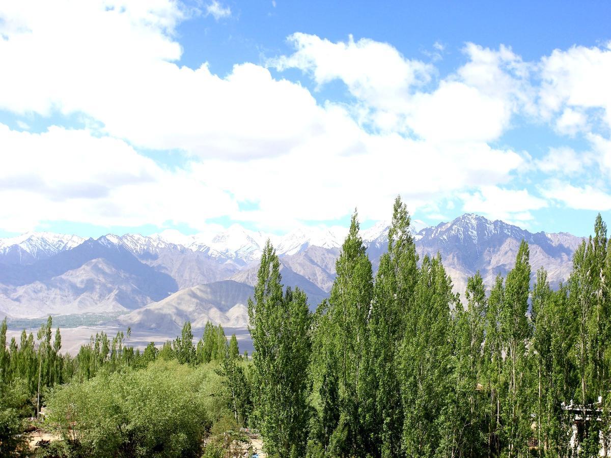 Hotel Mahay Palace Leh Exterior photo