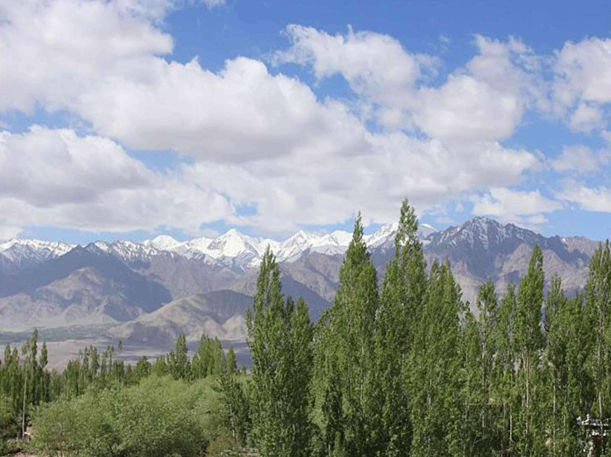 Hotel Mahay Palace Leh Exterior photo